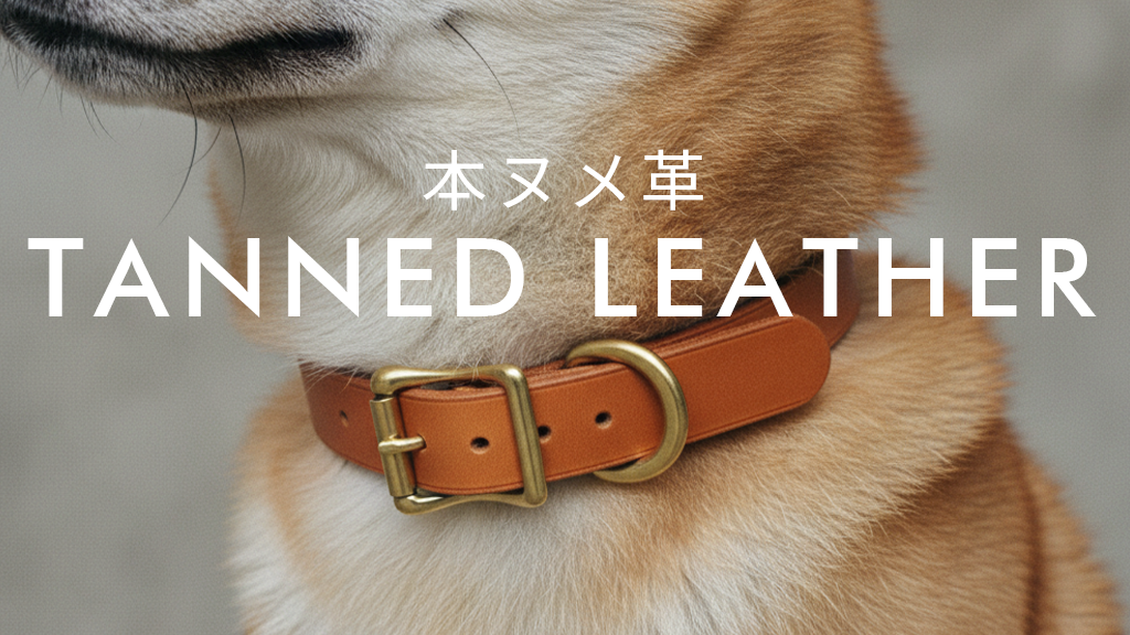 本ヌメ革