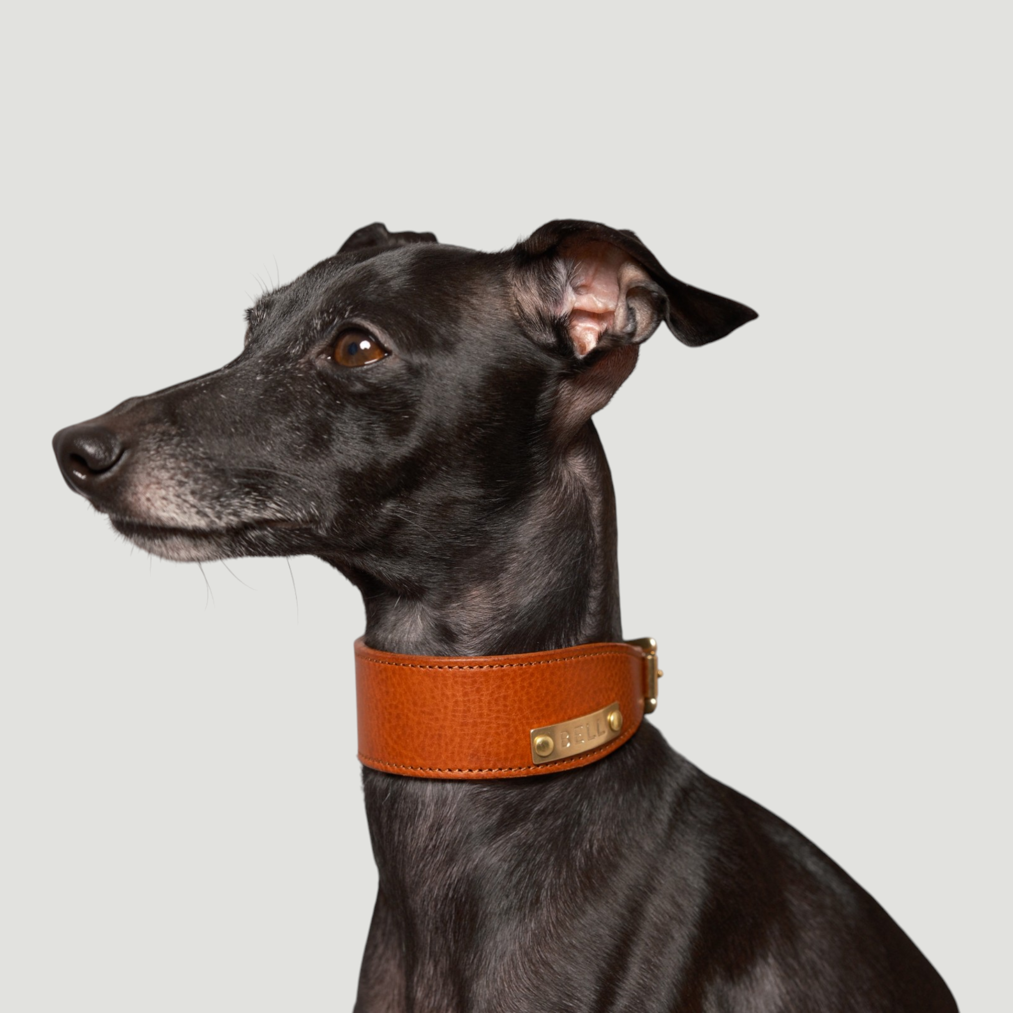 ドッグレザーアート　DOG LEATHER ART