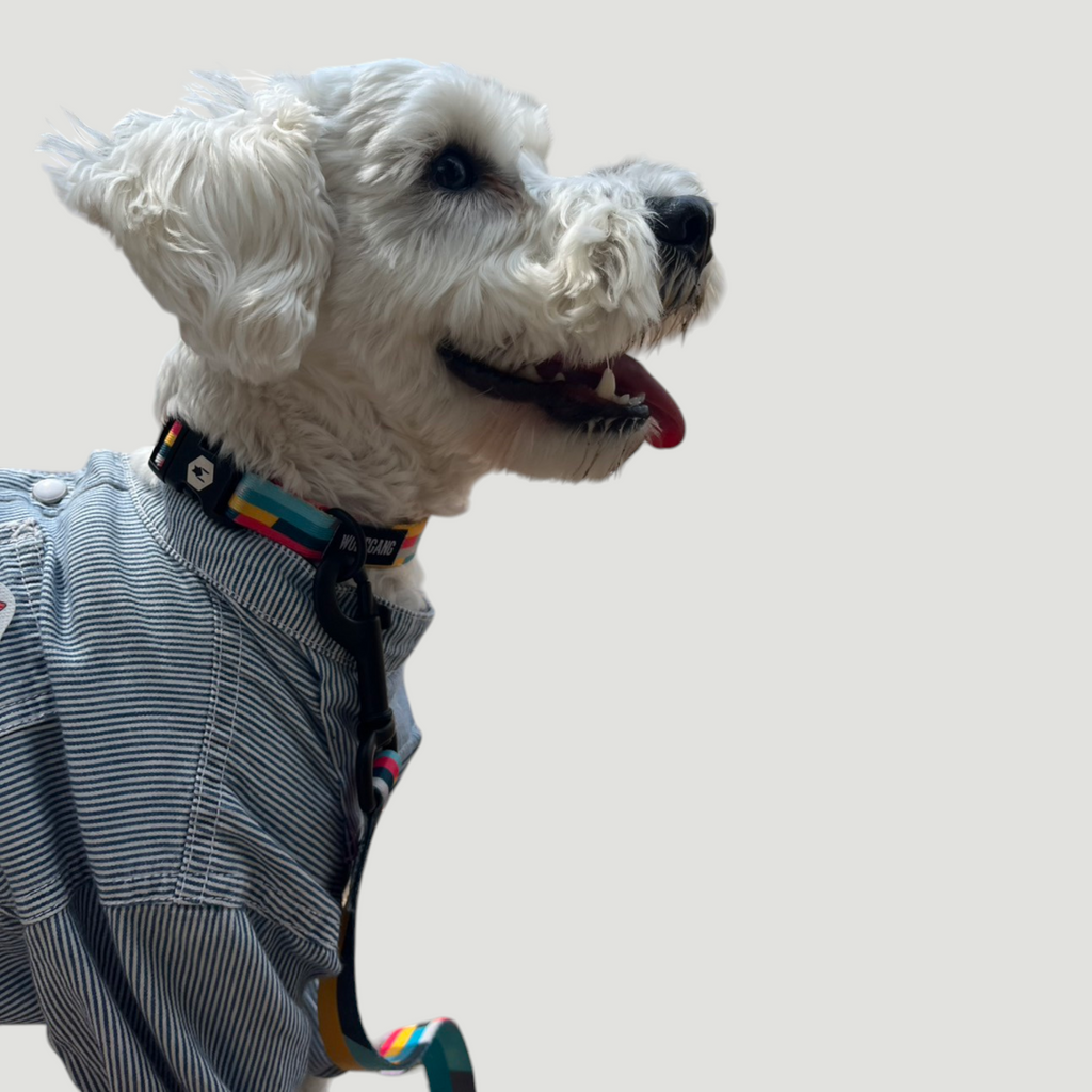 ドッグレザーアート　DOG LEATHER ART