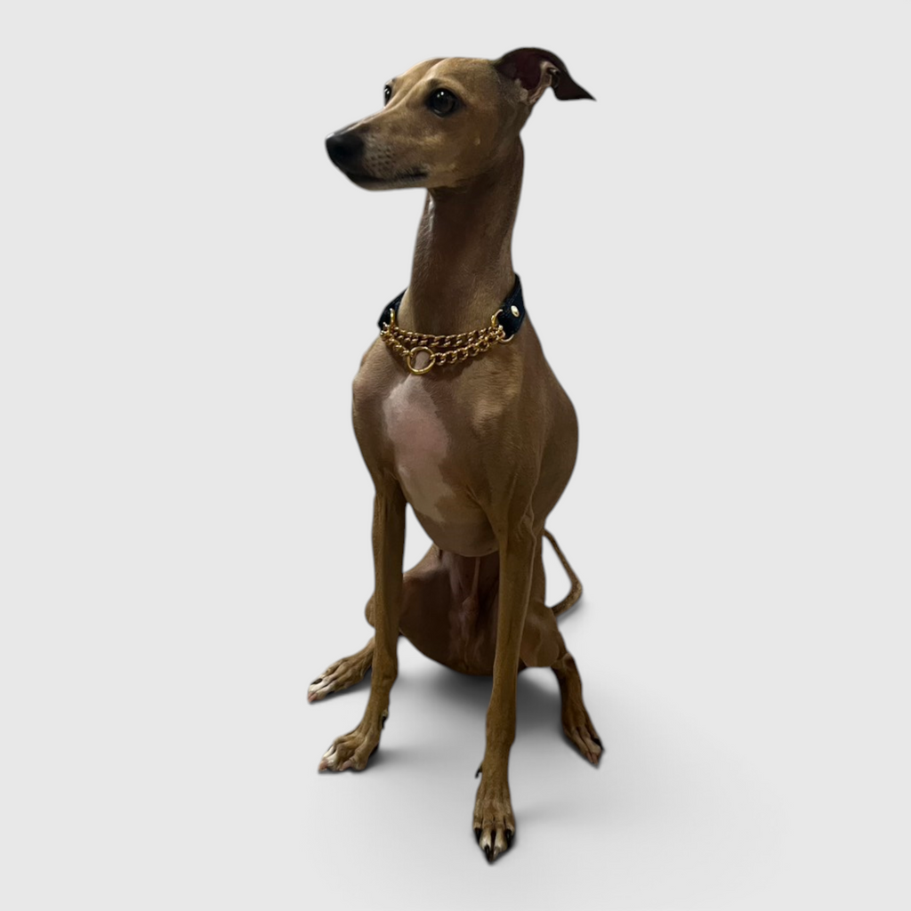 ドッグレザーアート　DOG LEATHER ART