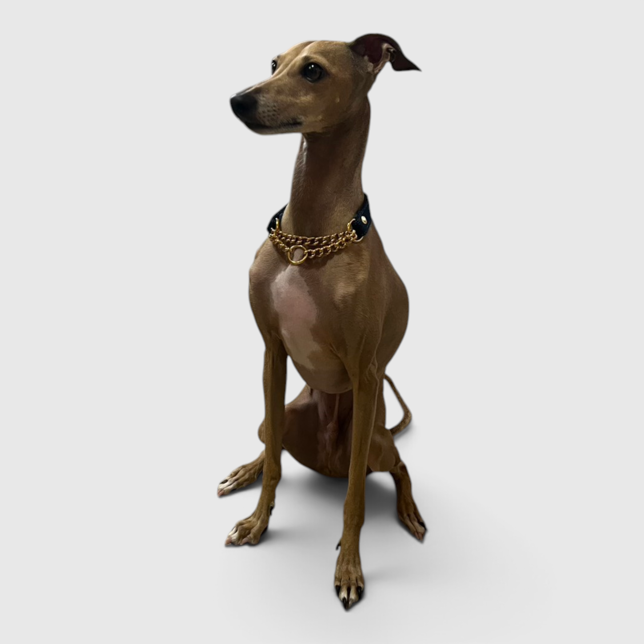 ドッグレザーアート　DOG LEATHER ART